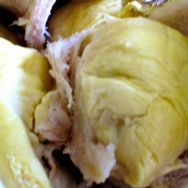 durian