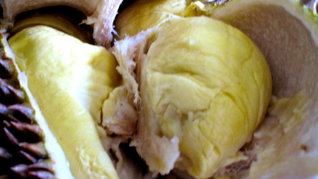 durian