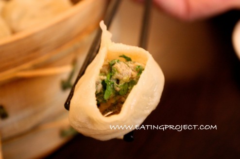 lamb & coriander dumpling lamb & coriander dumpling